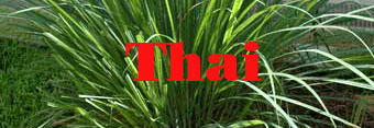 Thai Cuisine